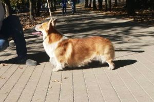 Изображение-WhatsApp-2023-12-10-в-10.11.32_54b8e1d4